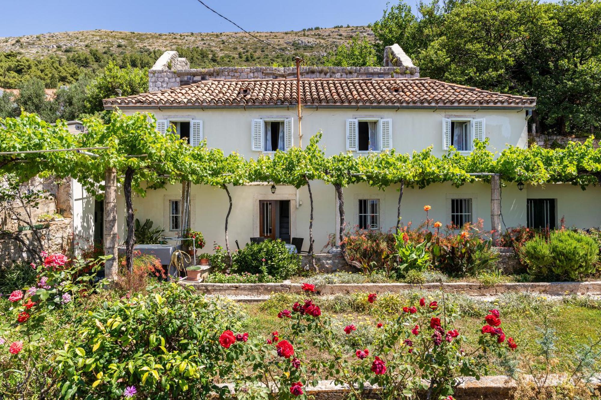 House Verde - Private House With Seaview Dubrovnik Exterior photo