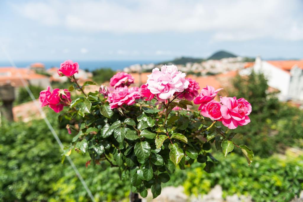 House Verde - Private House With Seaview Dubrovnik Room photo
